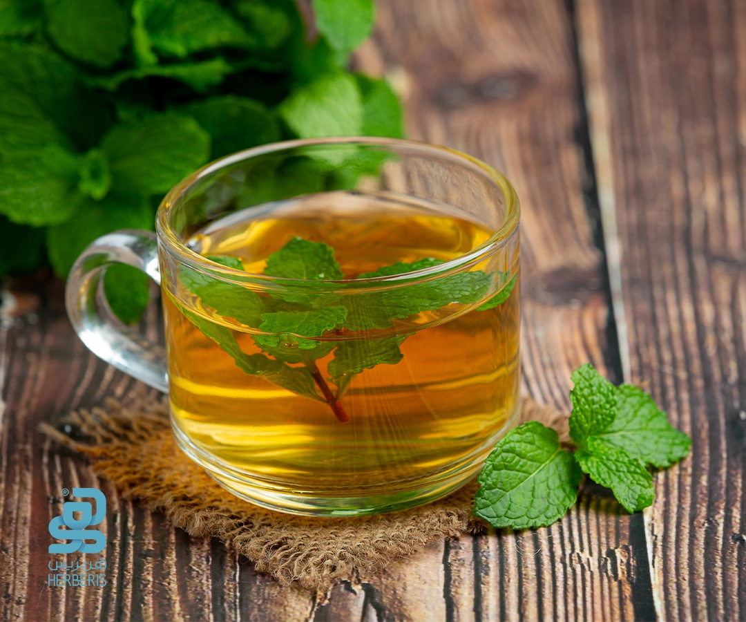 چای سبز و تقویت سیستم ایمنی بدن